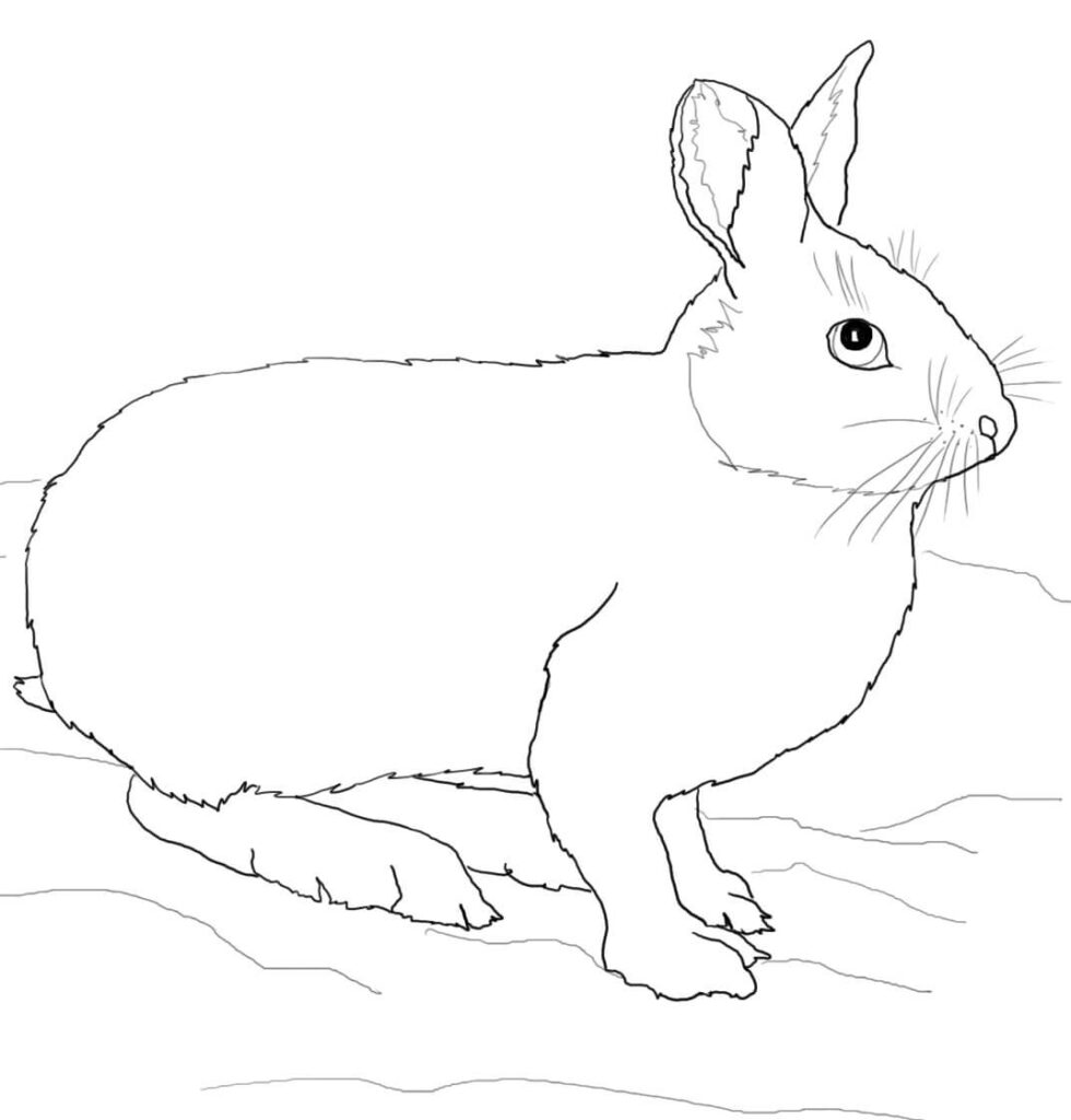 Black-and-white rabbit drawing standing on snow