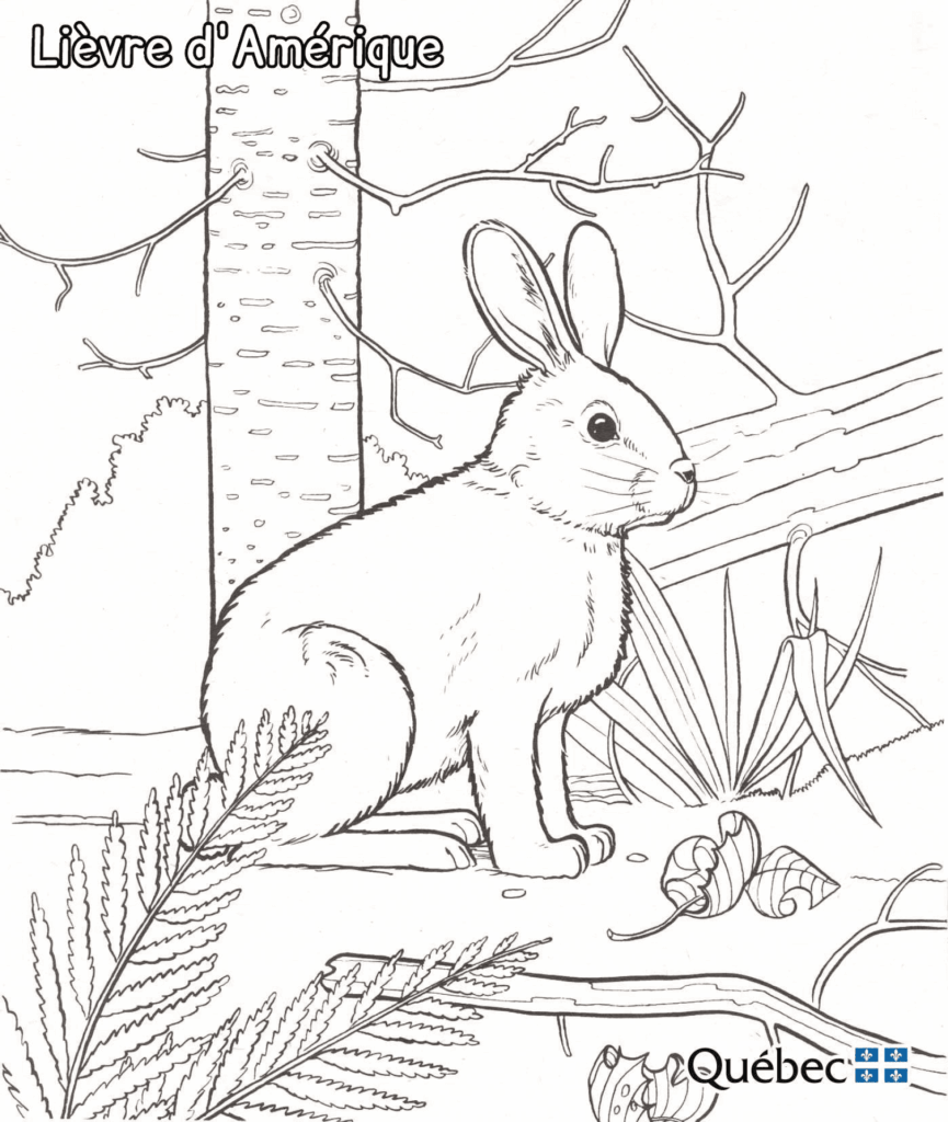 Line drawing of a rabbit beside trees and branches