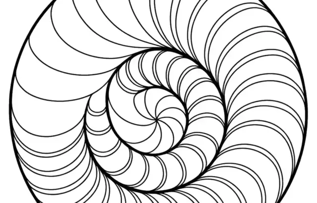 Black spiral line art inside a circle