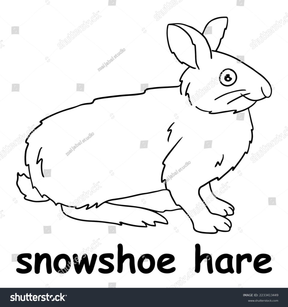 Black line drawing of a rabbit with text below