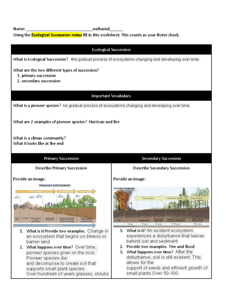 Ecological succession worksheet with primary and secondary diagrams