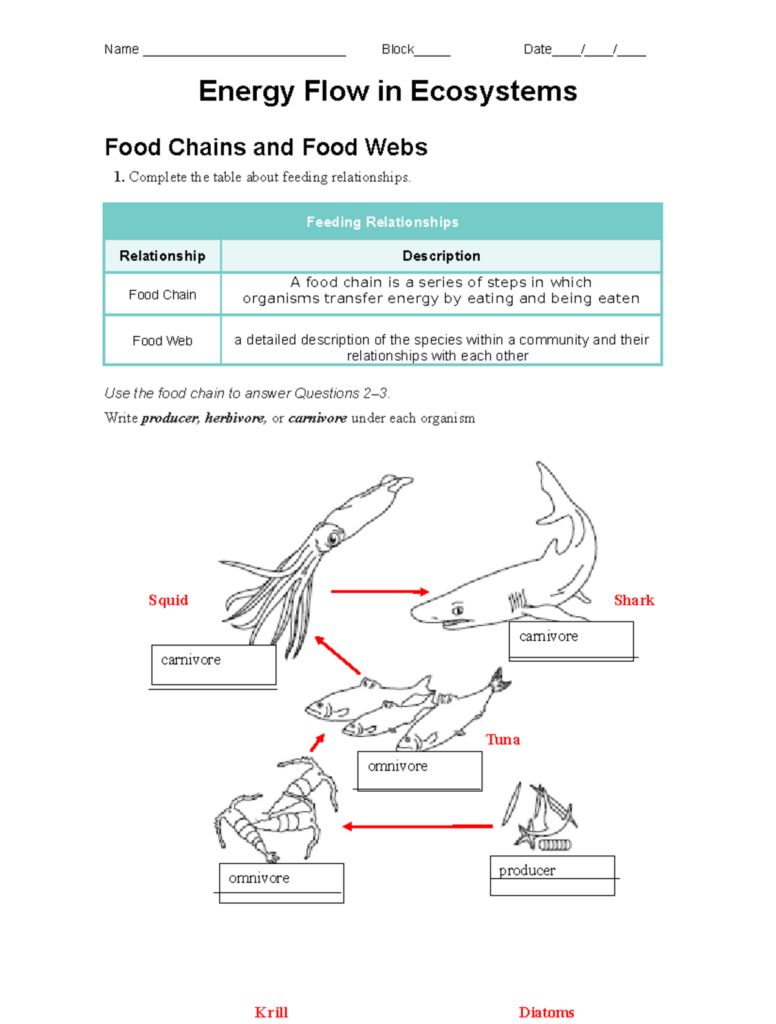 Ecosystem food chain worksheet with fish and shark drawings