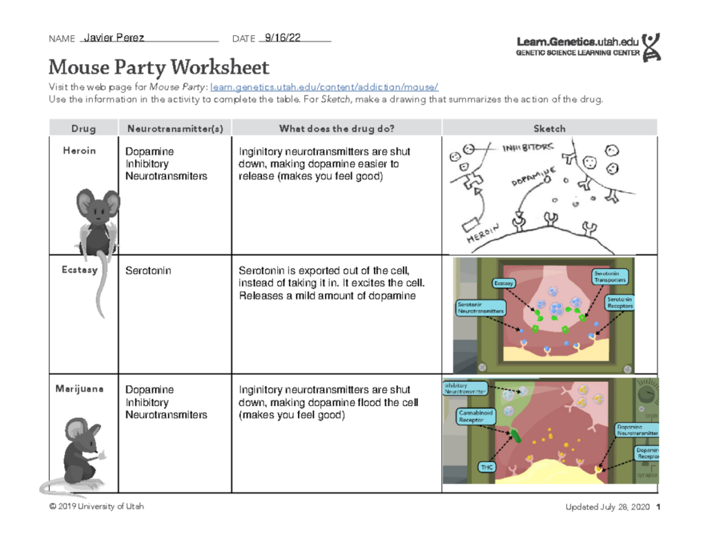 Mouse Party Worksheet showing drugs, mouse illustrations, and diagrams