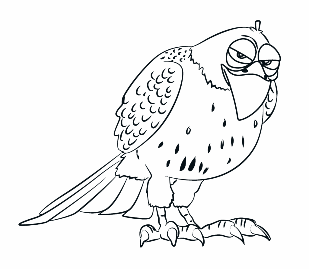 Cartoon bird line drawing standing on one foot