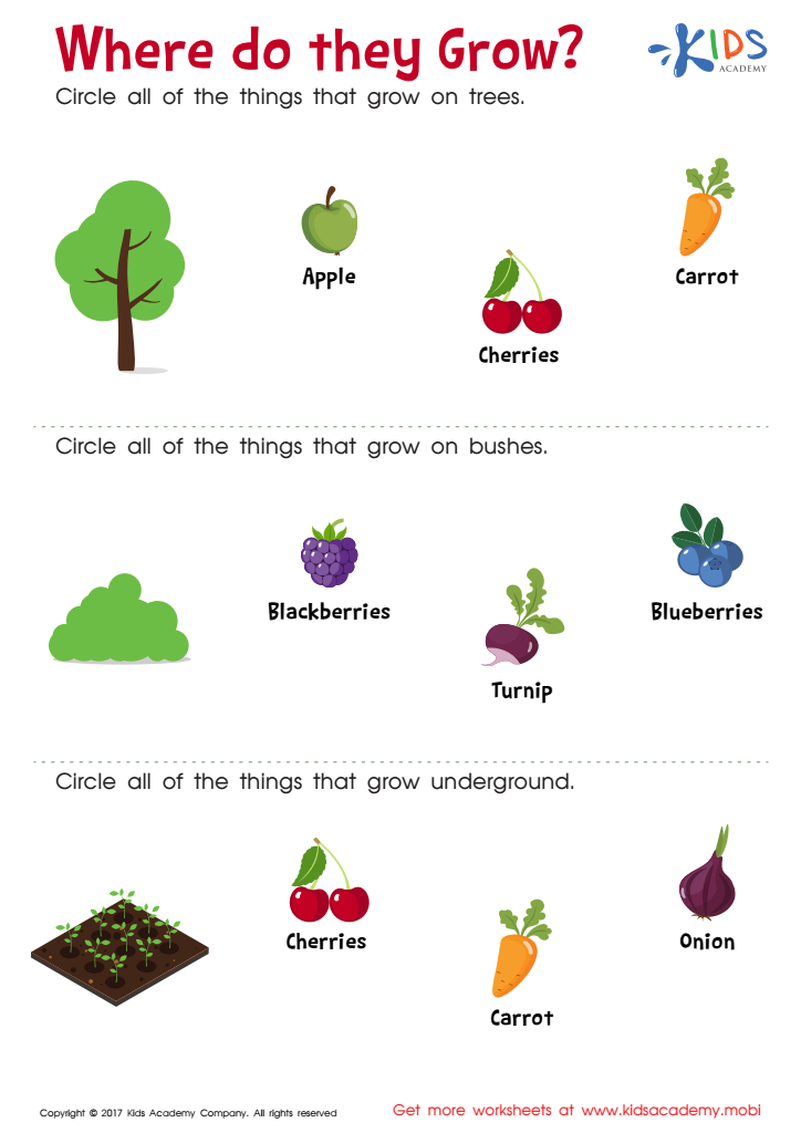 Kids worksheet about where fruits and vegetables grow