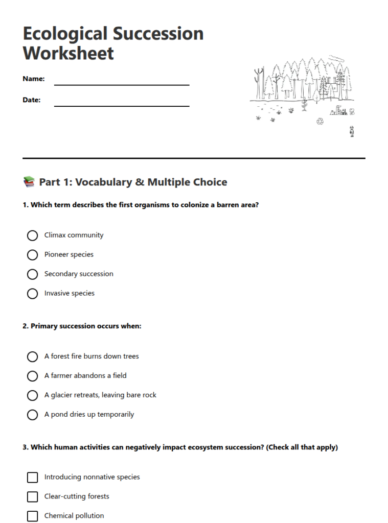 Ecological succession worksheet with questions and forest sketch