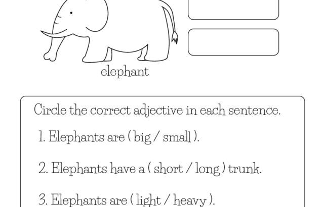 Elephant adjectives worksheet with fill-in questions and drawing
